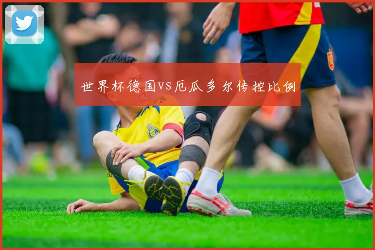 世界杯德国vs厄瓜多尔传控比例