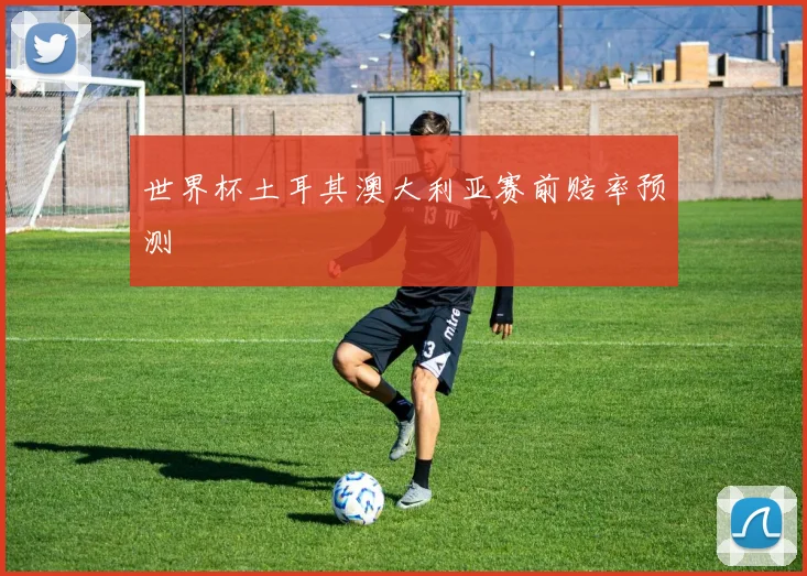 世界杯土耳其澳大利亚赛前赔率预测