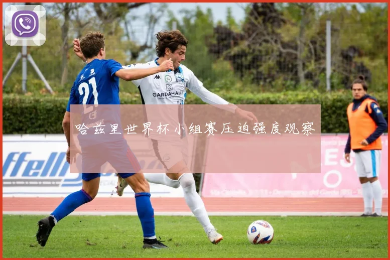 哈兹里世界杯小组赛压迫强度观察