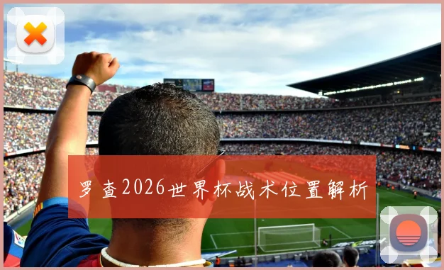 罗查2026世界杯战术位置解析