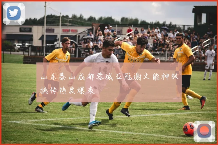 山东泰山成都蓉城亚冠谢文能神级挑传热度爆表