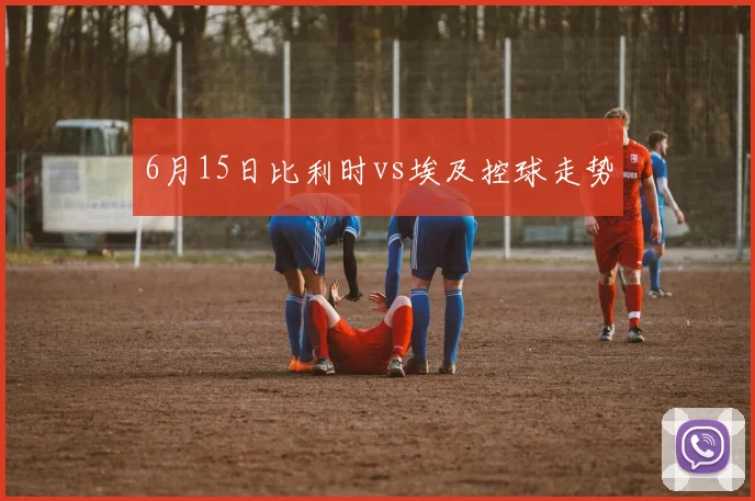 6月15日比利时vs埃及控球走势