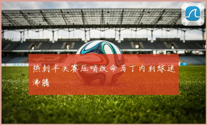 热刺半决赛压哨改命马丁内利球迷沸腾