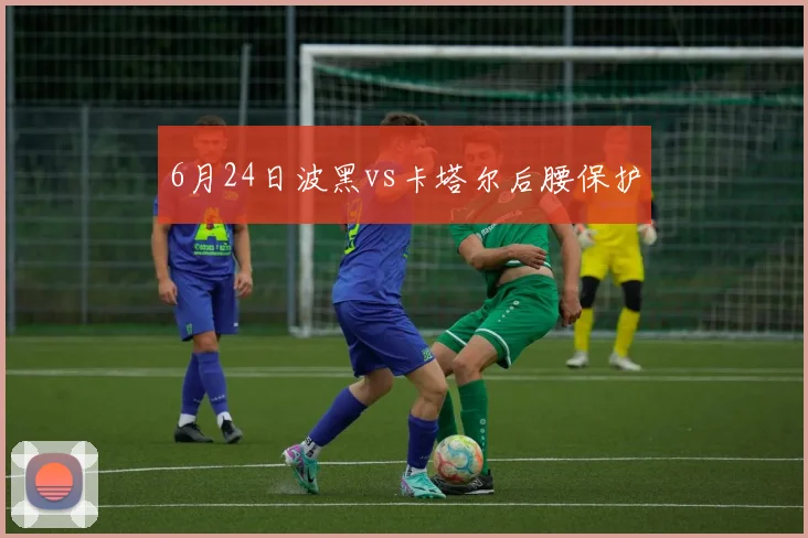 6月24日波黑vs卡塔尔后腰保护