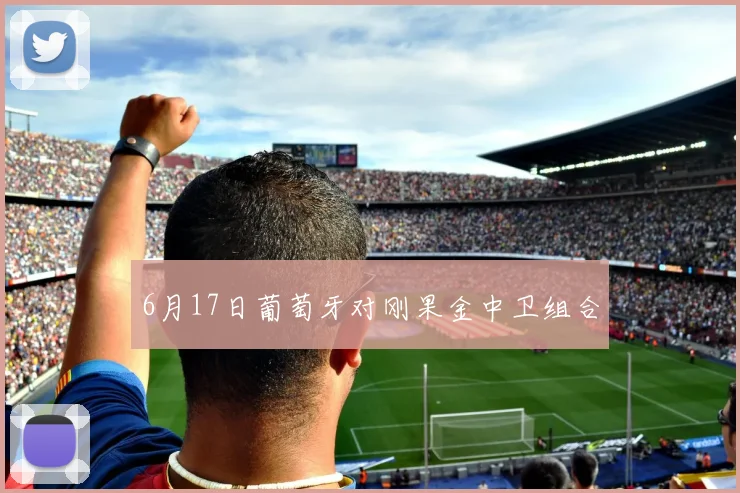6月17日葡萄牙对刚果金中卫组合