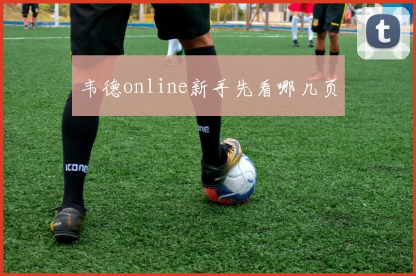 韦德online新手先看哪几页